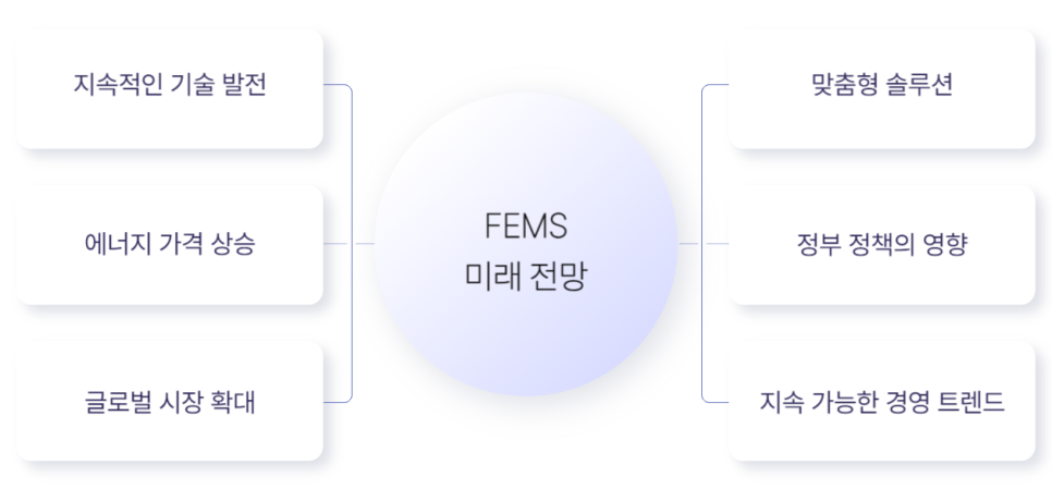 FEMS 미래 전망